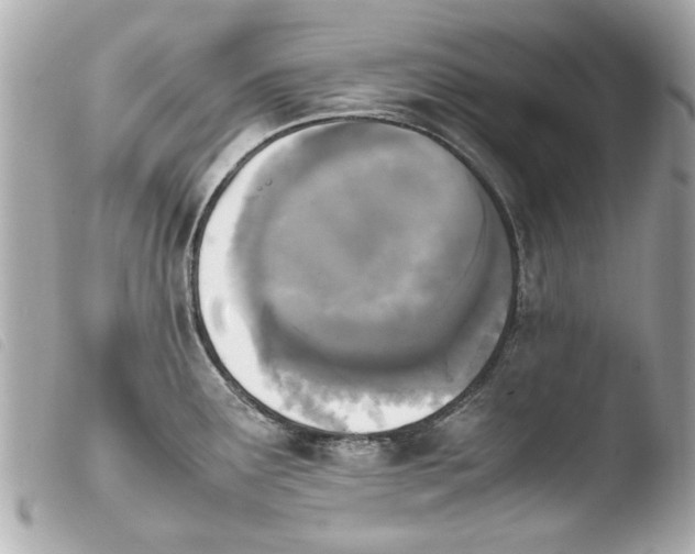 X0000103901291200810031140