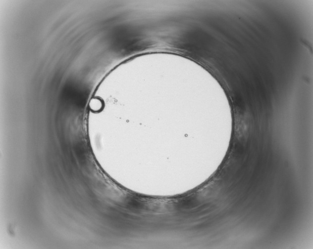 X0000103901292200810031140