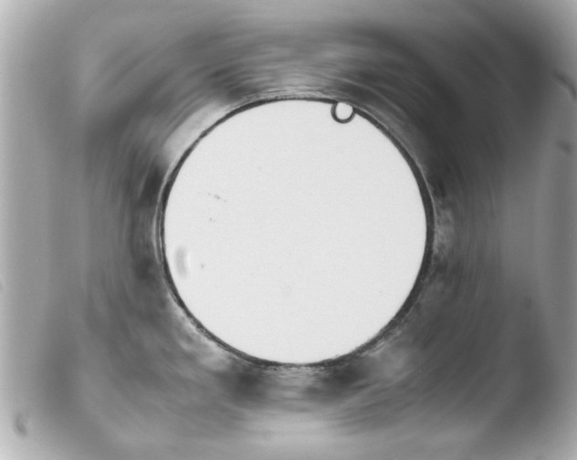 X0000103901293200810031140