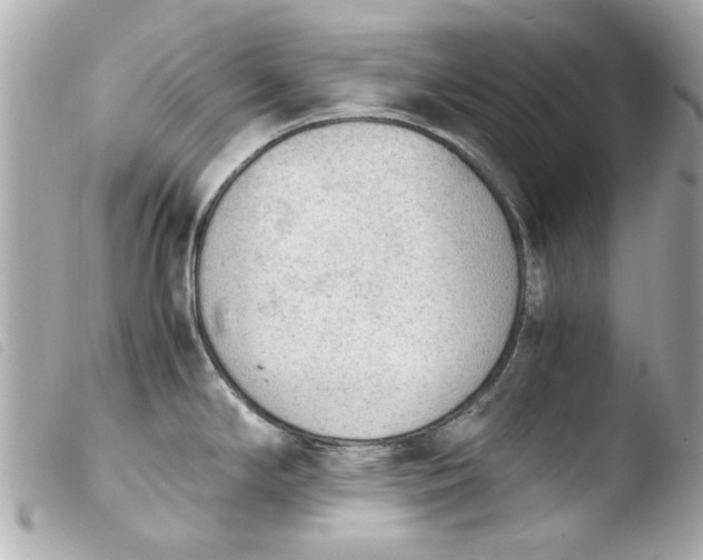 X0000103901294200810031140