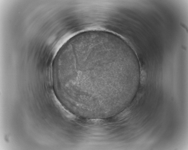 X0000103901295200810031140