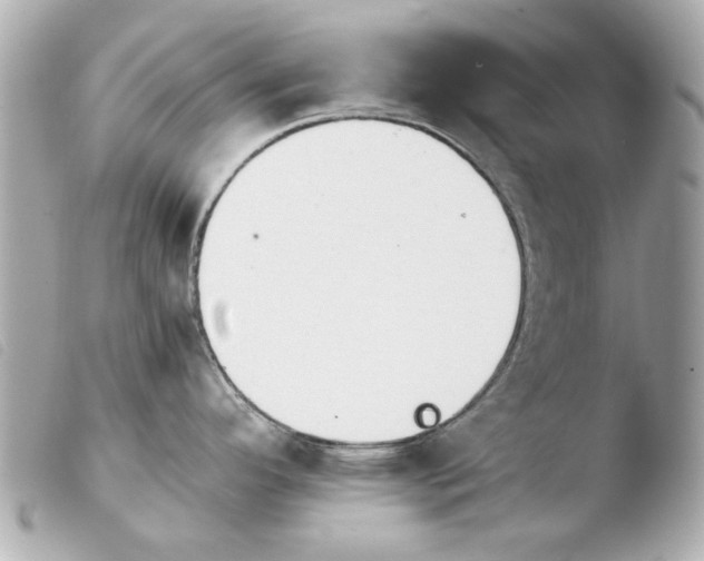 X0000103901296200810031140