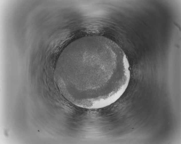 X0000103901297200810031139