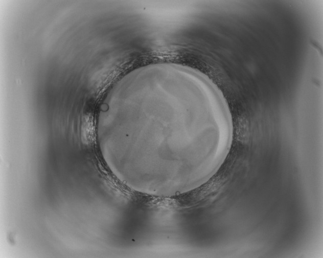 X0000103901298200810031139