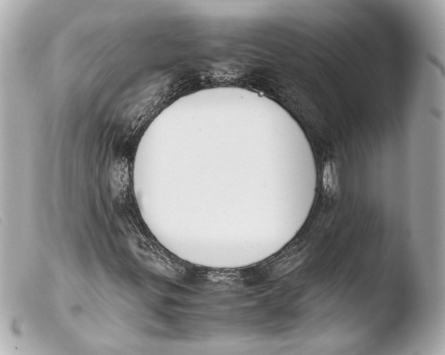 X0000103901299200810031139