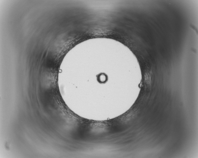 X0000103901300200810031139