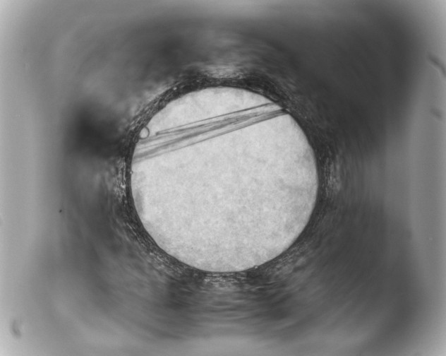 X0000103901301200810031139