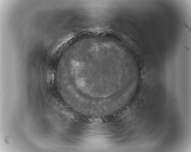 X0000103901302200810031139