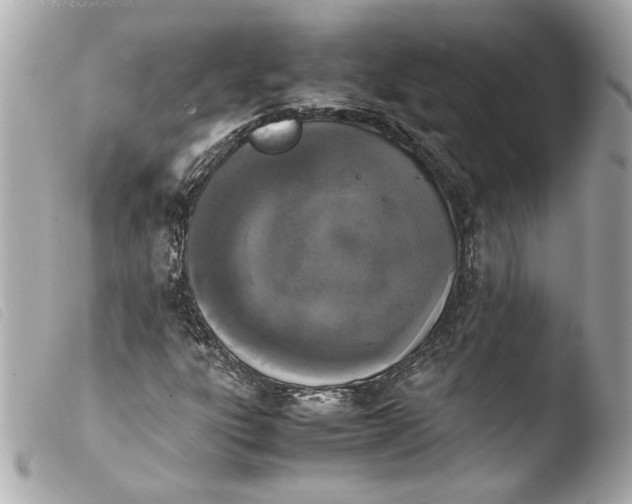 X0000103901303200810031139