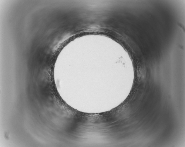 X0000103901304200810031139