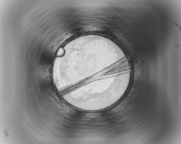 X0000103901305200810031139