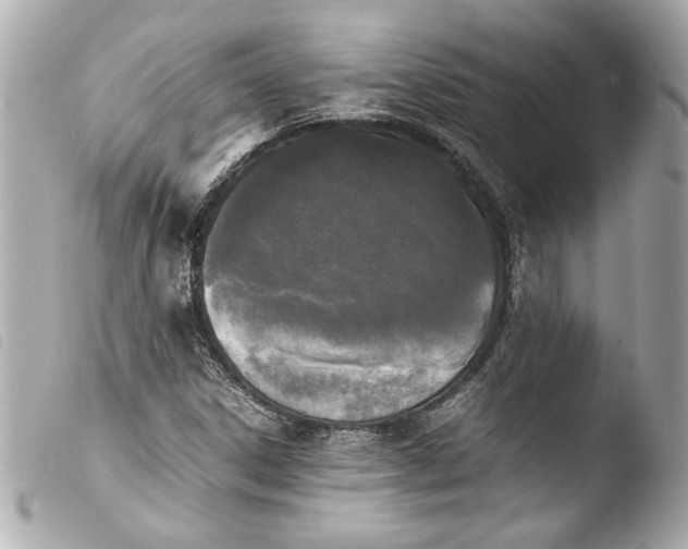 X0000103901306200810031139