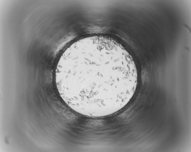 X0000103901309200810031139