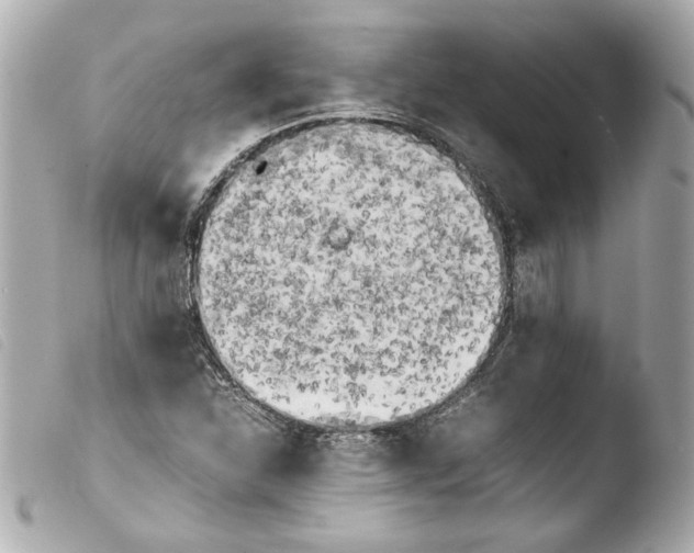 X0000103901310200810031139