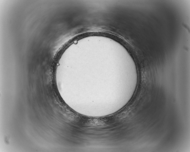 X0000103901311200810031139