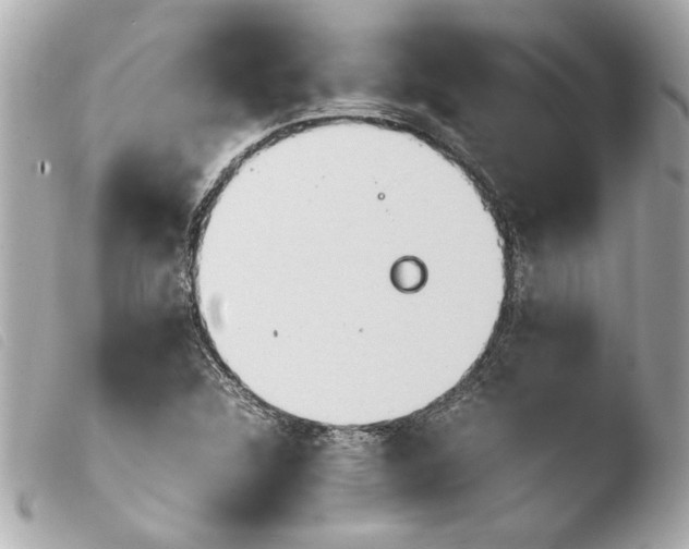 X0000103901312200810031139