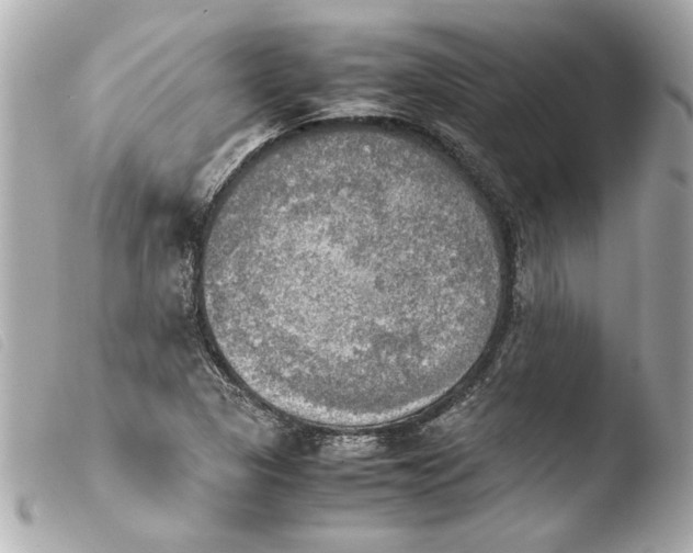 X0000103901313200810031139