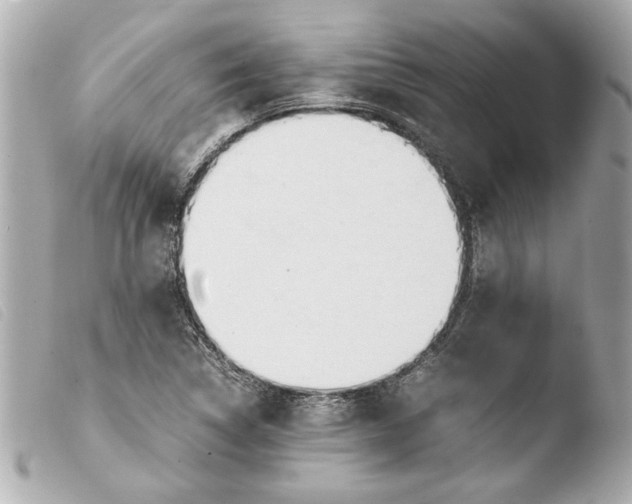 X0000103901314200810031139