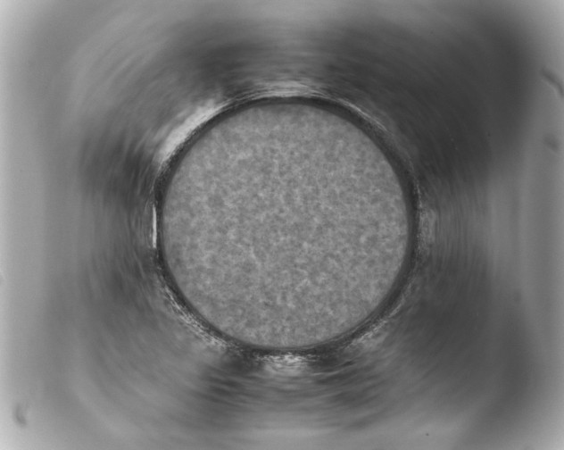 X0000103901317200810031139