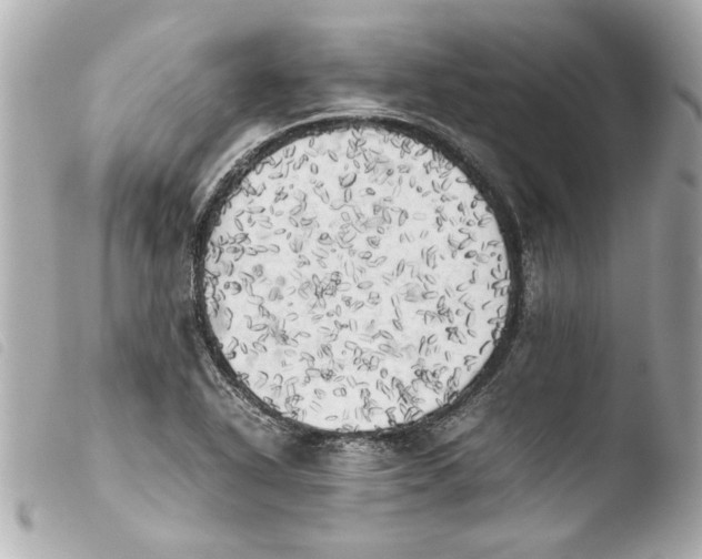 X0000103901318200810031139