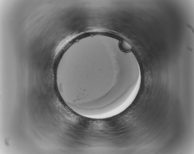 X0000103901319200810031139