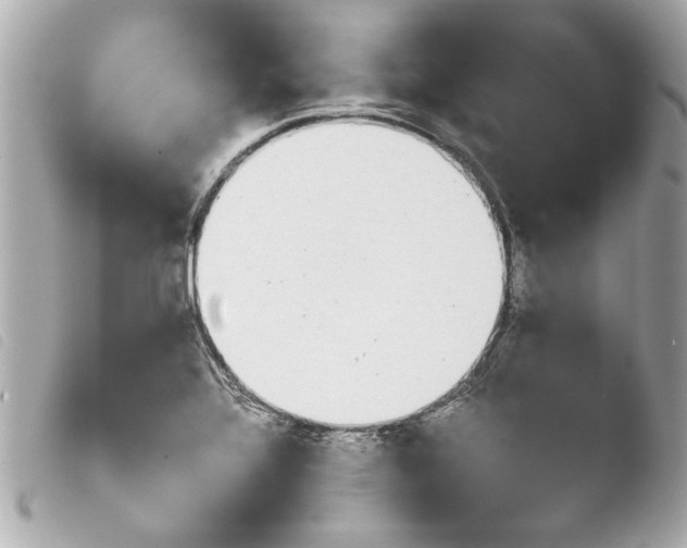 X0000103901320200810031139