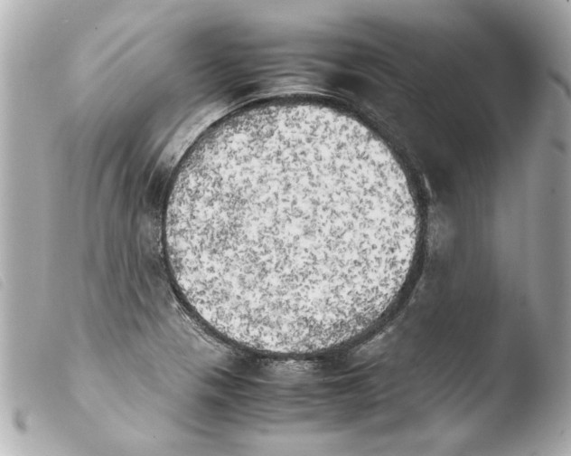 X0000103901321200810031139