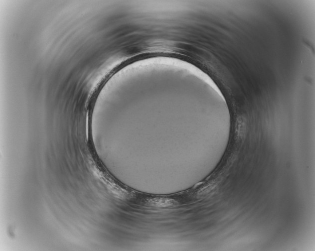 X0000103901323200810031139