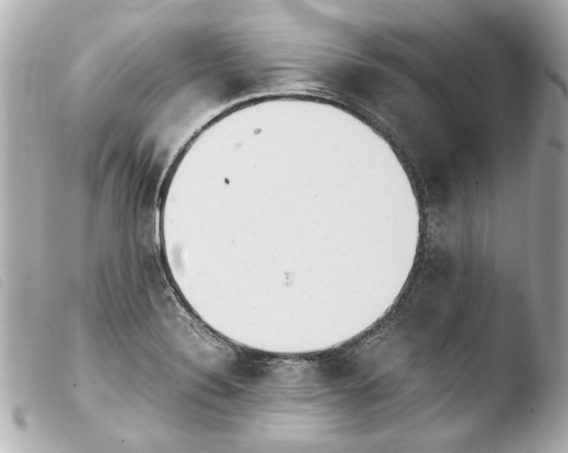 X0000103901324200810031139