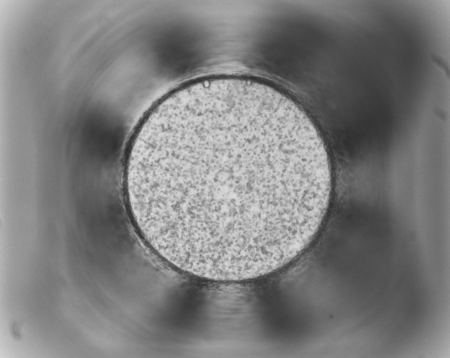 X0000103901326200810031140