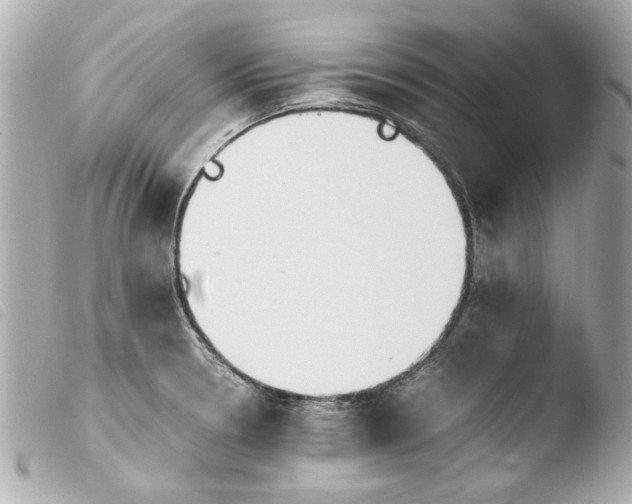 X0000103901330200810031140