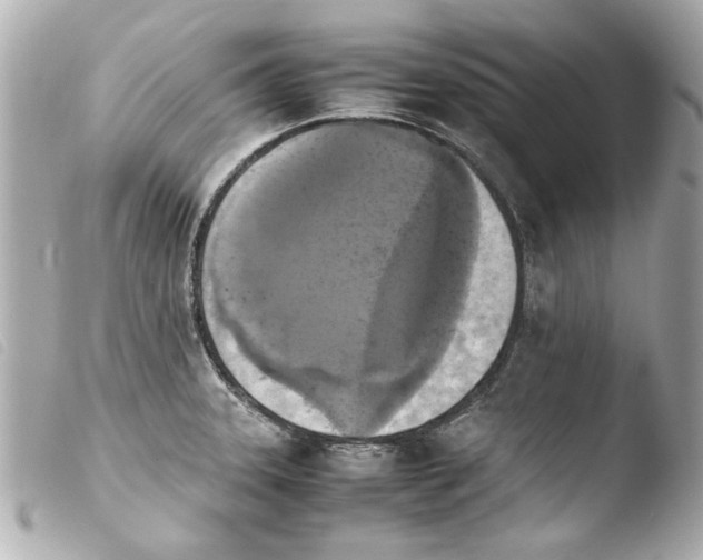 X0000103901331200810031140