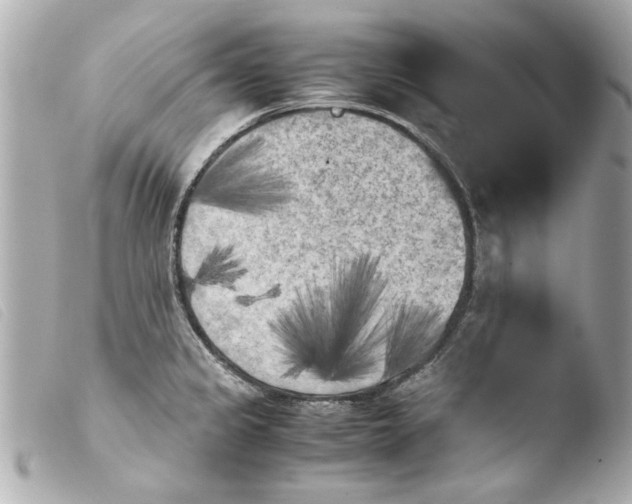 X0000103901333200810031140