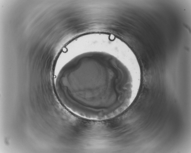 X0000103901334200810031140