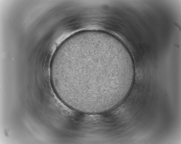 X0000103901335200810031140