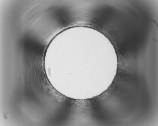 X0000103901336200810031140