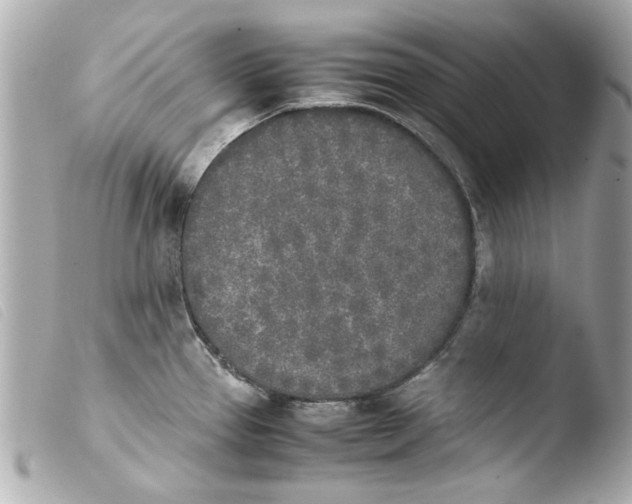 X0000103901337200810031140