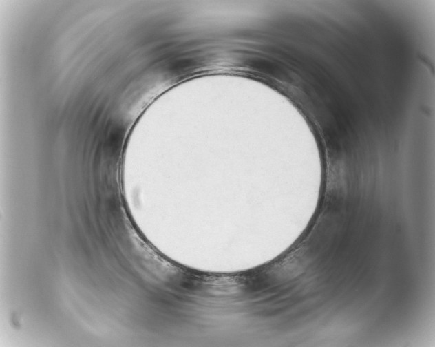 X0000103901338200810031140