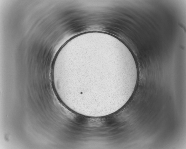 X0000103901339200810031140