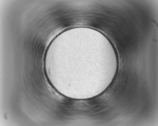 X0000103901341200810031140