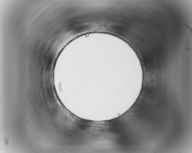 X0000103901342200810031140