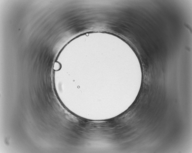 X0000103901343200810031140