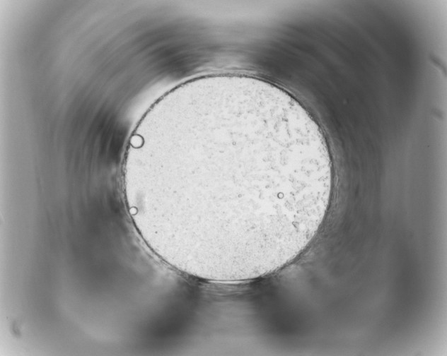 X0000103901344200810031140