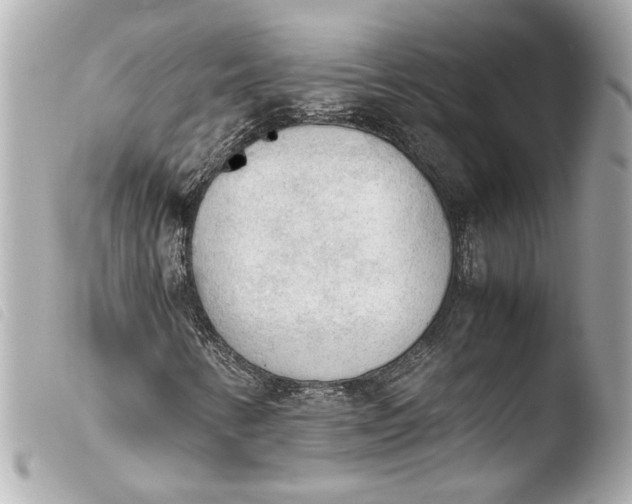 X0000103901346200810031139