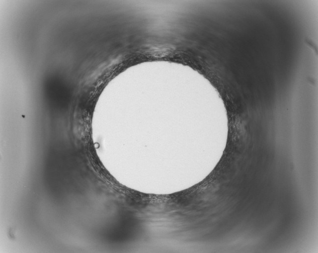 X0000103901349200810031139