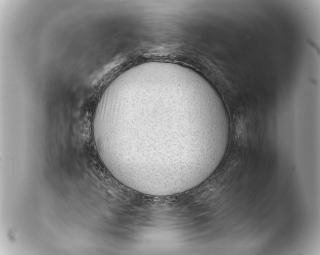 X0000103901350200810031139