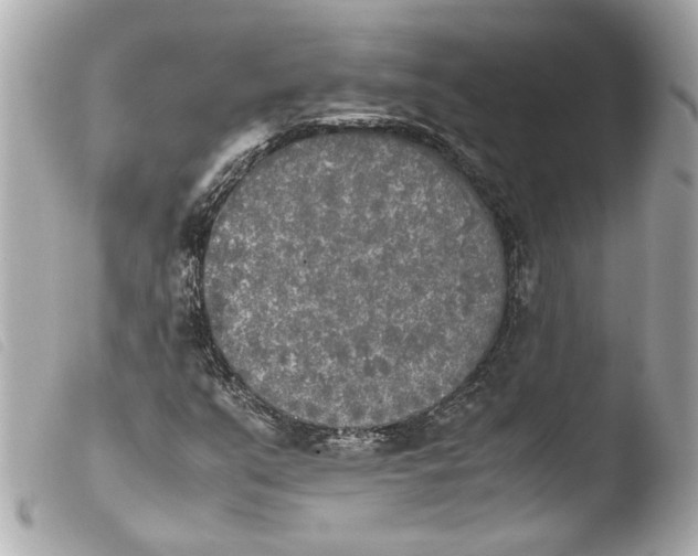 X0000103901351200810031139