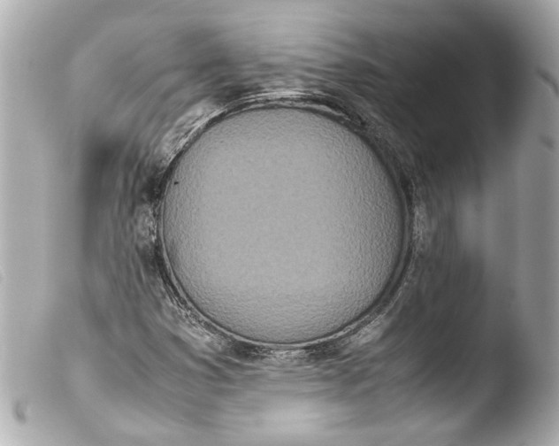 X0000103901353200810031139