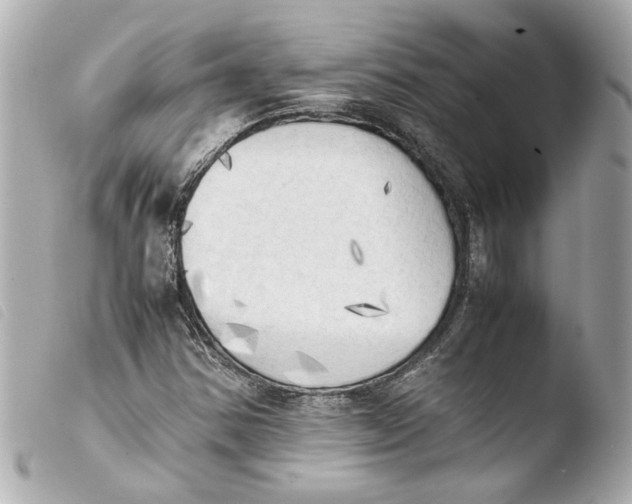 X0000103901354200810031139