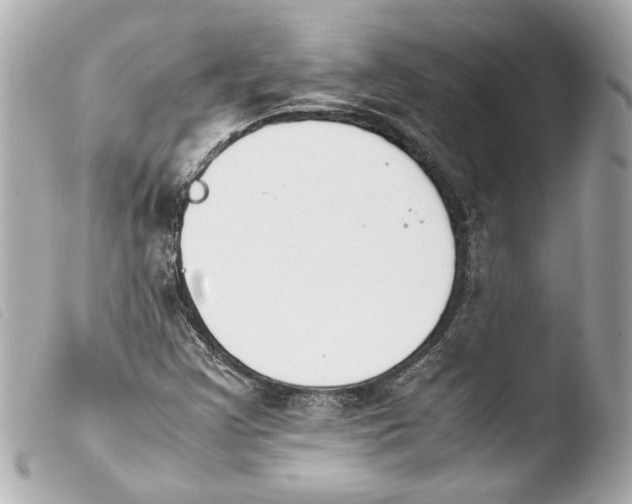 X0000103901355200810031139